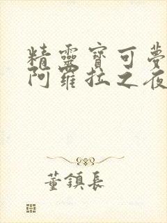精灵宝可梦本子阿罗拉之夜