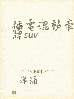 插电混动豪华品牌suv