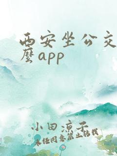 西安坐公交用什么app