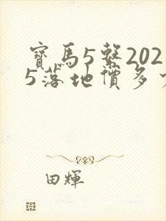宝马5系2025落地价多少