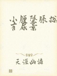 小腹坠胀总感觉有尿意