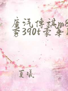 广汽传祺m8领秀390t豪华版
