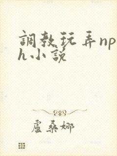 调教玩弄np高h小说