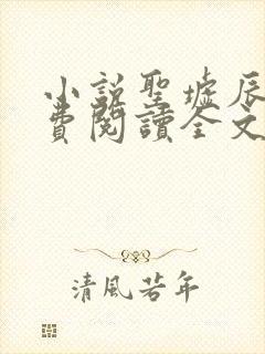 小说圣墟辰东免费阅读全文