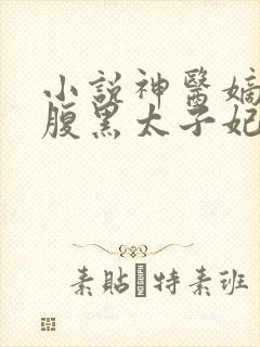 小说神医嫡女:腹黑太子妃 小说神医嫡女:腹黑太子妃