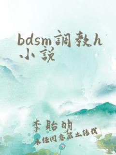 bdsm调教h小说