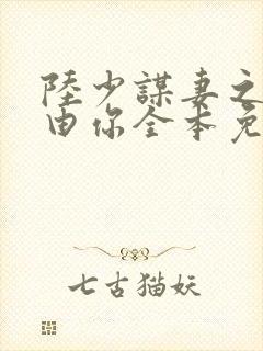 陆少谋妻之婚不由你全本免费阅读
