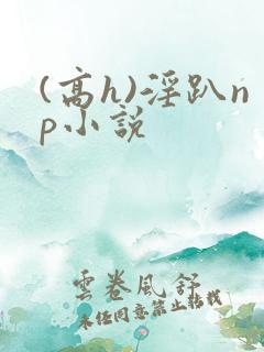 (高h)淫趴np小说