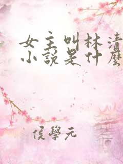 女主叫林清雪的小说是什么