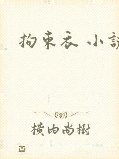 拘束衣 小说
