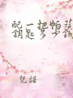 配一把帕萨特车钥匙多少钱