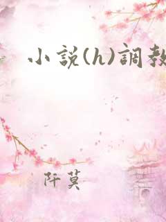 小说(h)调教