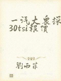 一汽大众探岳330tsi报价