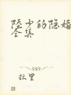 陆少的隐婚罪妻全集