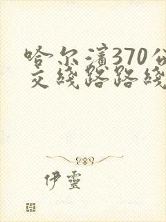 哈尔滨370公交线路路线查询