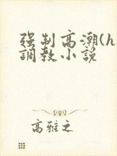 强制高潮(h)调教小说