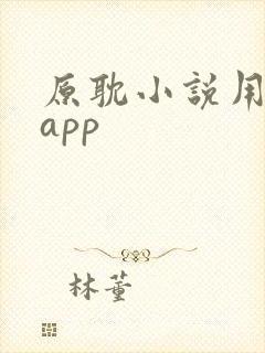 原耽小说用什么app