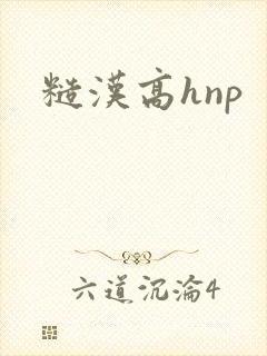 糙汉高hnp