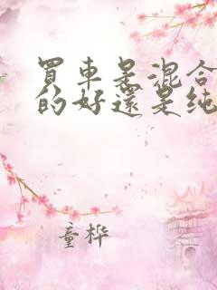 买车是混合动力的好还是纯电动好
