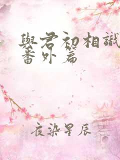 与君初相识小说番外篇 与君初相识小说番外篇