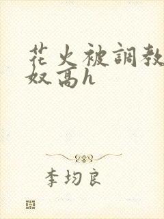 花火被调教成肉奴高h