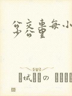 公交车每小时多少公里