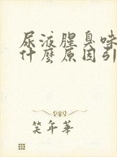 尿液腥臭味很重什么原因引起的