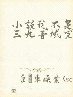 小说我不是戏神三九音域完本