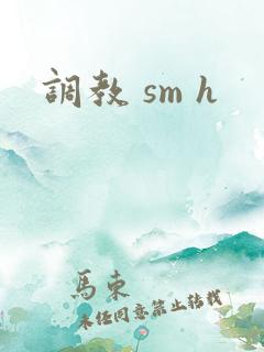 调教 sm h
