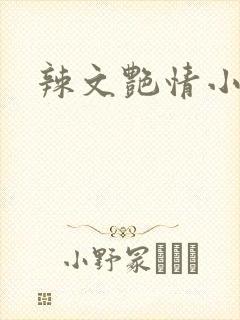 辣文艳情小说