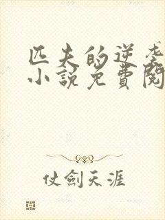 匹夫的逆袭正版小说免费阅读