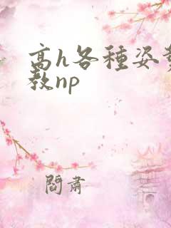 高h各种姿势调教np