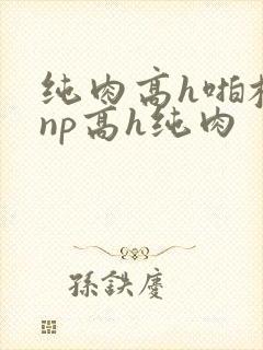 纯肉高h啪校园np高h纯肉