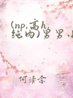(np,高h,纯肉)男男小说