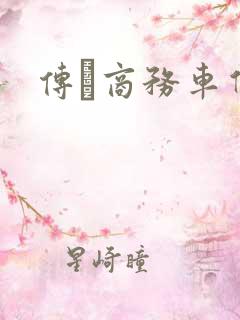 传褀商务车价格