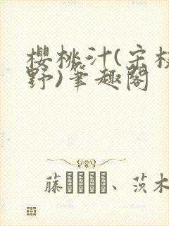 樱桃汁(宋枝江野)笔趣阁