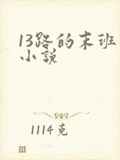 13路的末班车小说