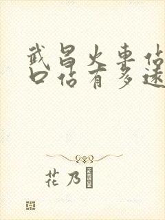武昌火车站到汉口站有多远