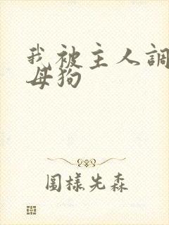 我被主人调教成母狗