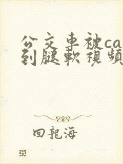 公交车被cao到腿软视频 公交车被cao到腿软视频