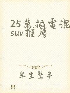25万插电混动suv推荐
