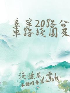 阜宁20路公交车路线图及时间