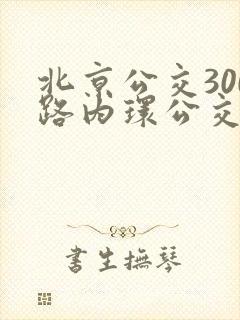 北京公交300路内环公交车站点