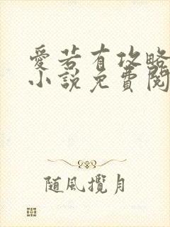爱若有攻略原著小说免费阅读 爱若有攻略原著小说免费阅读