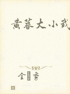 黄蓉大小武