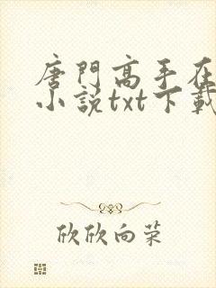 唐门高手在异世小说txt下载