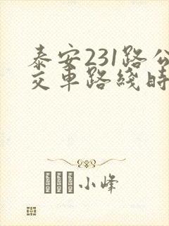 泰安231路公交车路线时间表
