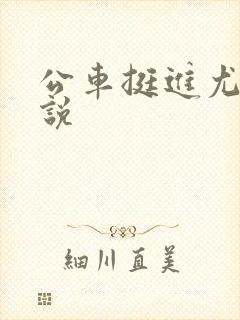 公车挺进尤物小说