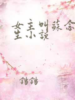 女主叫苏念的重生小说