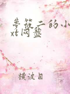 梦筱二的小说txt网盘